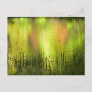 Reflections in Mirror Lake   Yosemite Postcard