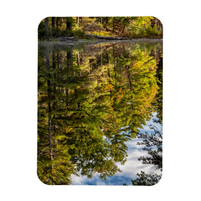 Reflections in Red Eagle Pond | White Mountains Magnet (Vertical)