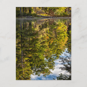 Reflections in Red Eagle Pond   White Mountains Postcard