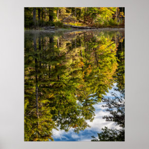 Reflections in Red Eagle Pond   White Mountains Poster