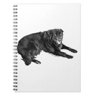Reflections Kept for Colder Days Notebook