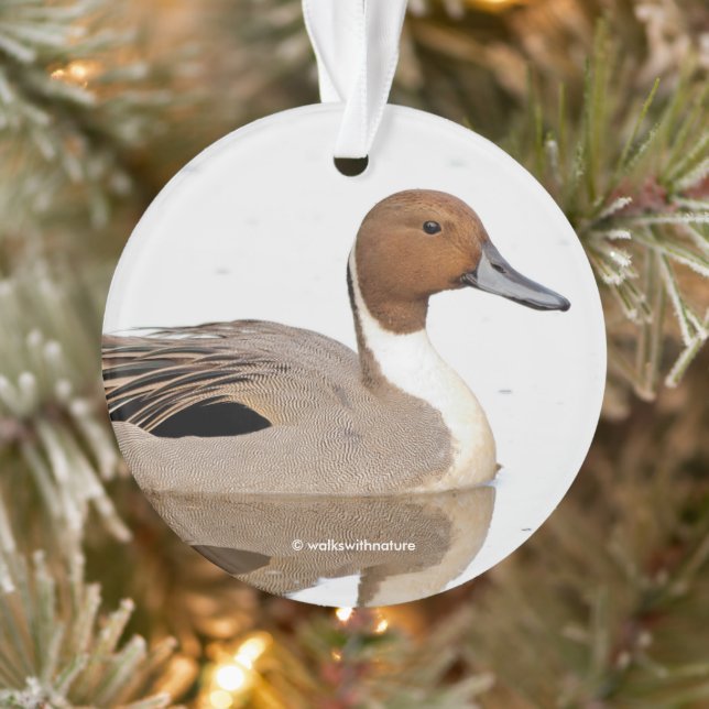 Reflections of a Northern Pintail Duck Ornament (Tree)