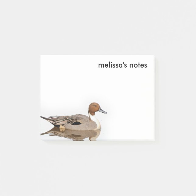 Reflections of a Northern Pintail Duck Post-it Notes (Front)