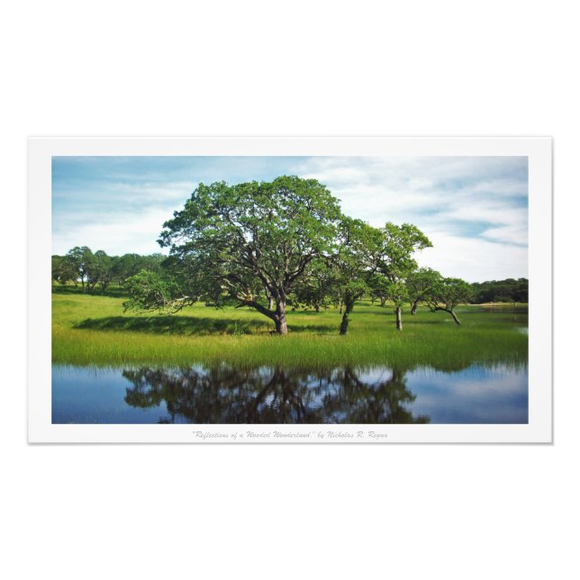 "Reflections of a Wooded Wonderland," Nature Decor Photo Print (Front)