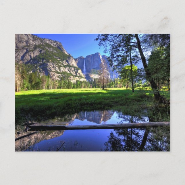 Reflections of Falls Postcard (Front)