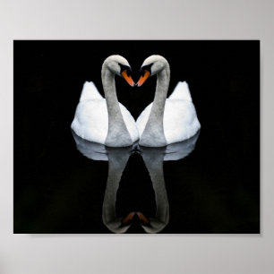 Reflections of Love, Heart Shape, White Swans Poster