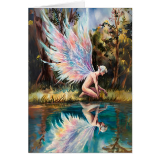 Reflections of Serenity