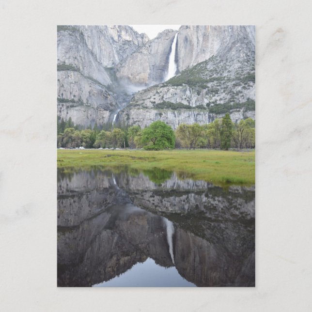 Reflections of Yosemite Falls Postcard (Front)