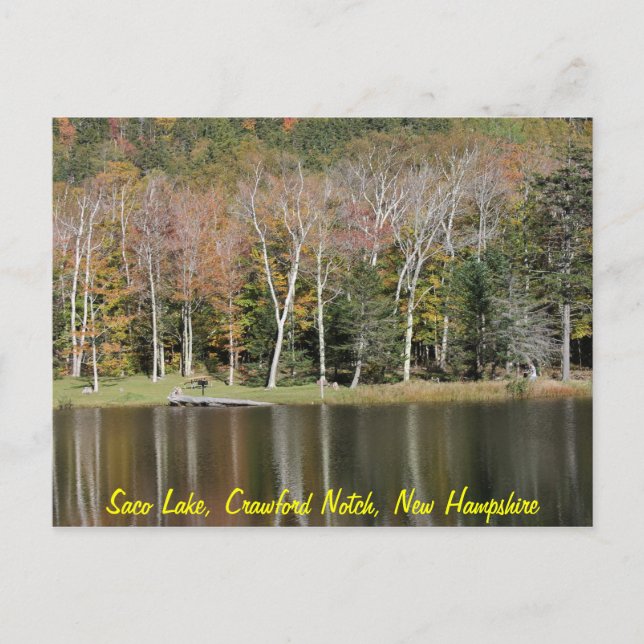 Reflections on Saco Lake Postcard (Front)