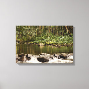 Reflections on the Water Canvas Print