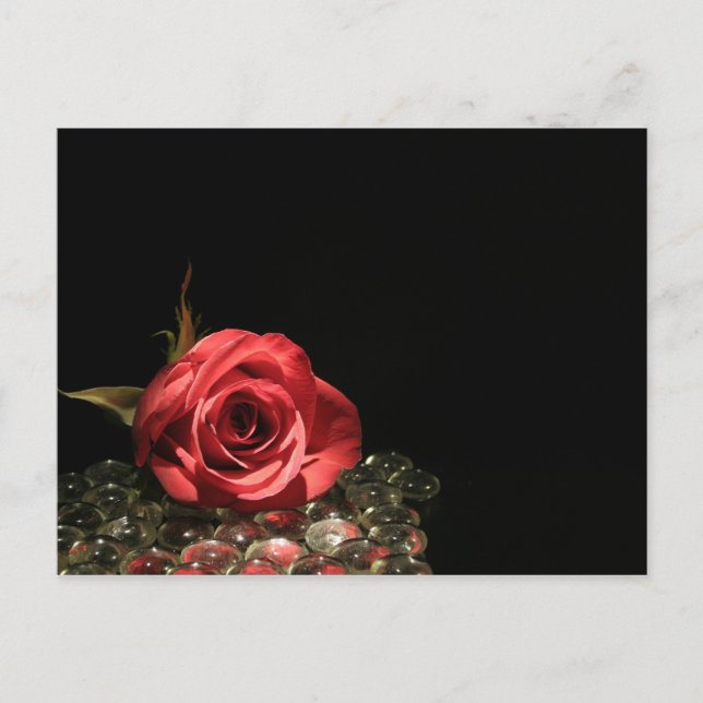 Reflections Postcard (Front)