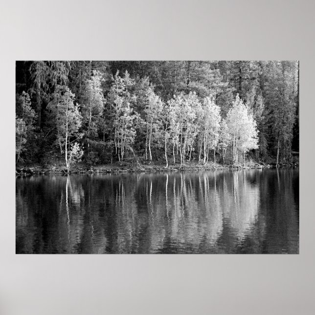 Reflections Poster (Front)