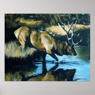 Reflections Poster