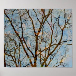 Reflections Poster