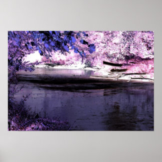Reflections Poster