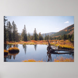 Reflections Poster