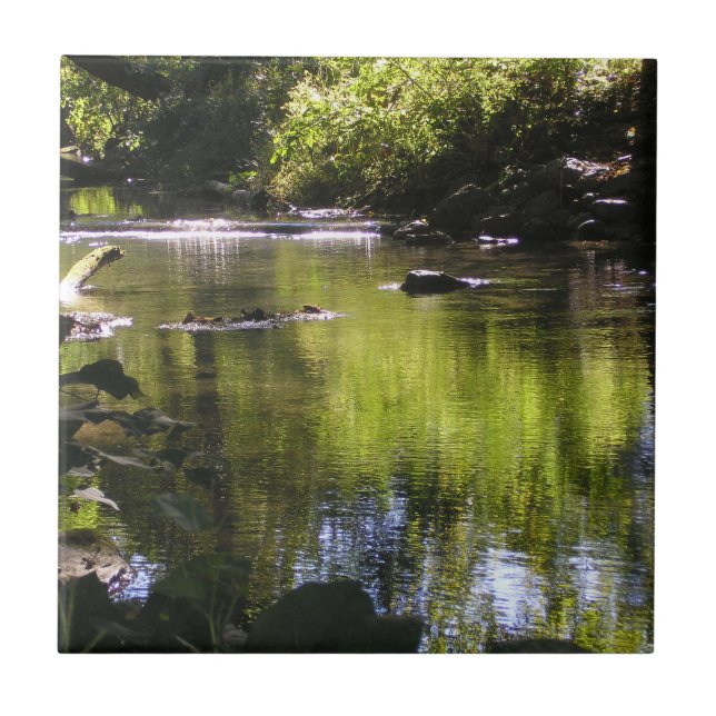 Reflections Tile (Front)