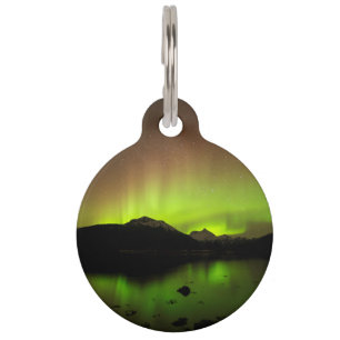 Reflective Aurora Pet Tag