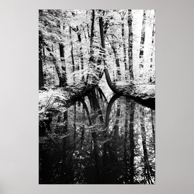 Reflective Contrast wapcn Poster (Front)