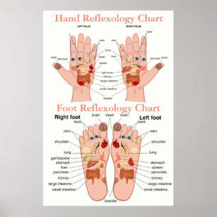 Reflexology Chart 20X30"