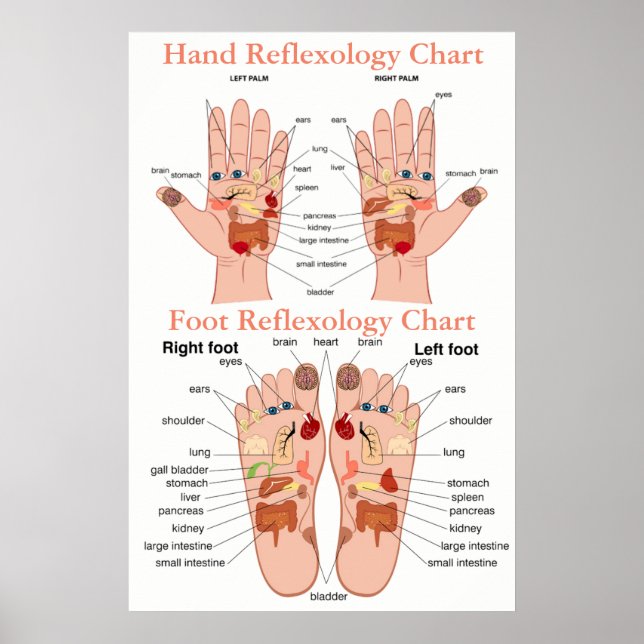 Reflexology Chart 20X30" (Front)