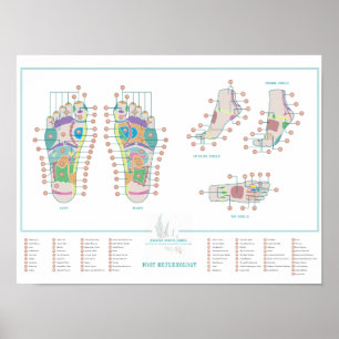 Reflexology Foot Chart