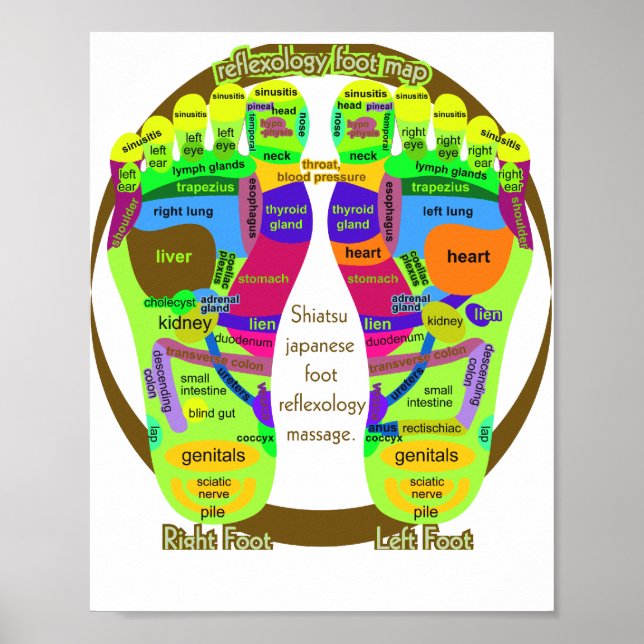 reflexology foot map classic round sticker poster (Front)