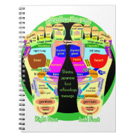 reflexology foot map