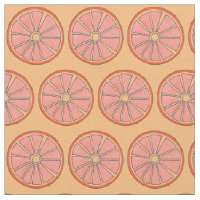 Refreshing Florida Orange Citrus Grove Fruit Slice