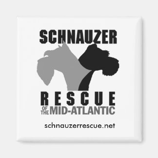 Refrigerator Magnet