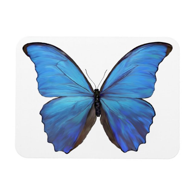 Refrigerator Magnet Blue Butterfly (Horizontal)