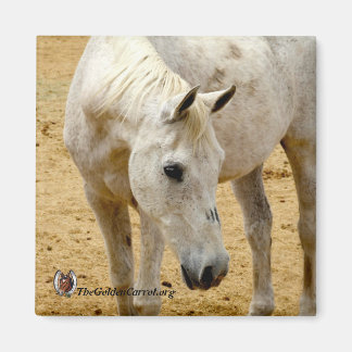 Refrigerator Magnet "Lester"