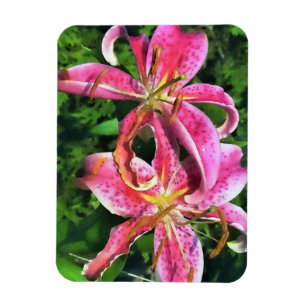 Refrigerator Magnet Pink Lilies