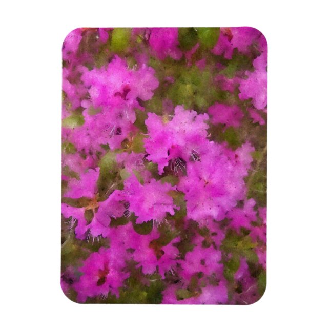 Refrigerator Magnet - Purple Rhododendrons (Vertical)