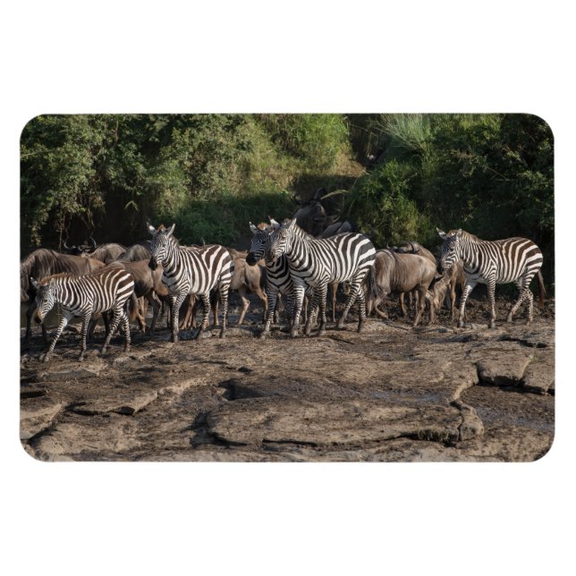 Refrigerator Magnet YOUR Photo Template 4 x 6 (Horizontal)