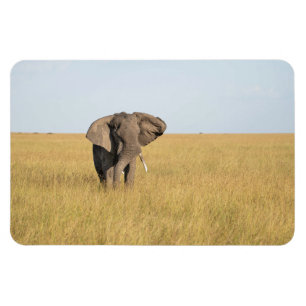 Refrigerator Magnet YOUR Photo Template 4 x 6