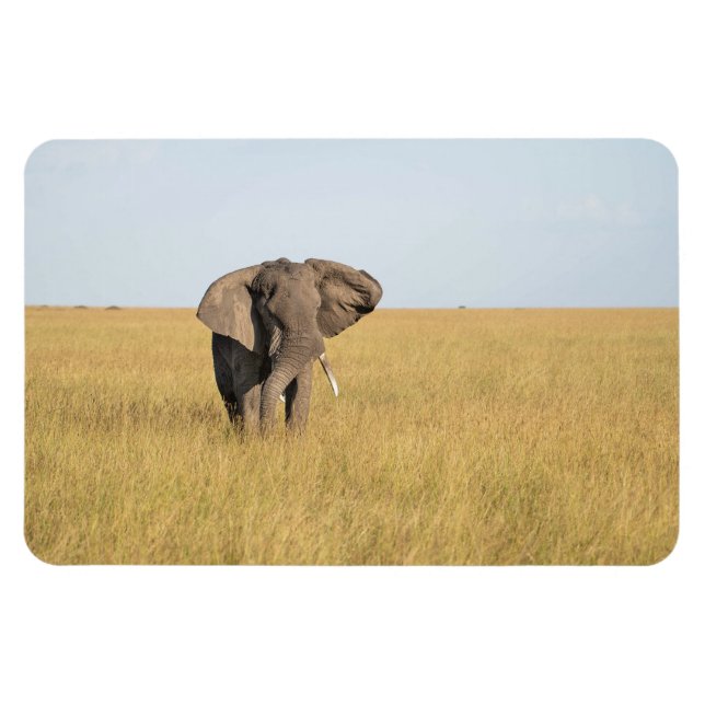 Refrigerator Magnet YOUR Photo Template 4 x 6 (Horizontal)