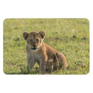 Refrigerator Magnet YOUR Photo Template 4 x 6