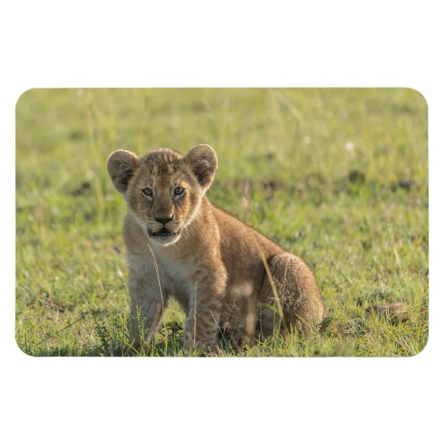 Refrigerator Magnet YOUR Photo Template 4 x 6 (Horizontal)