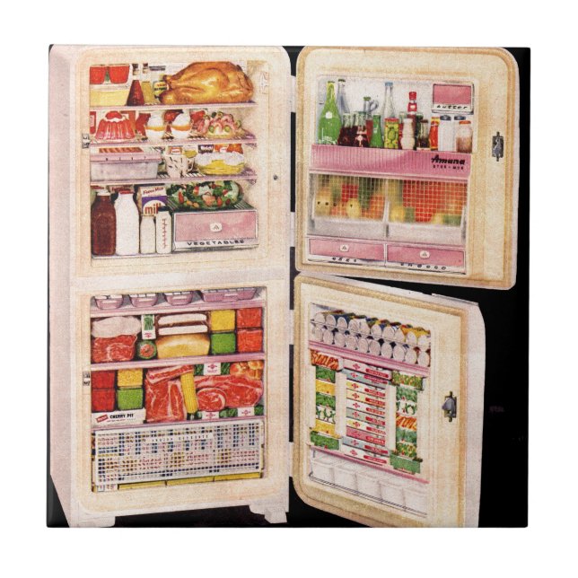 Refrigerator of Plenty Tile (Front)