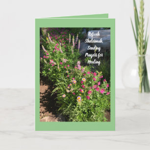 Refuah Sheleimah, Send Healing Card