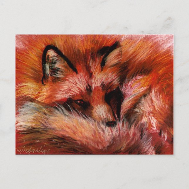Refuge Fox Postcard (Front)