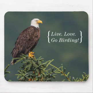 Regal Bald Eagle Mouse Mat