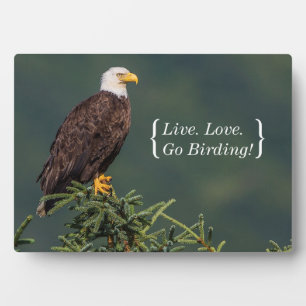 Regal Bald Eagle Plaque