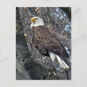 Regal Bald Eagle Postcard