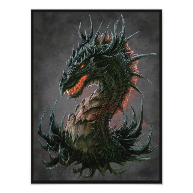 Regal Black Dragon Head - Full Colour Photo Print (Front)