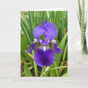 Regal Bloom Mothers Day Card