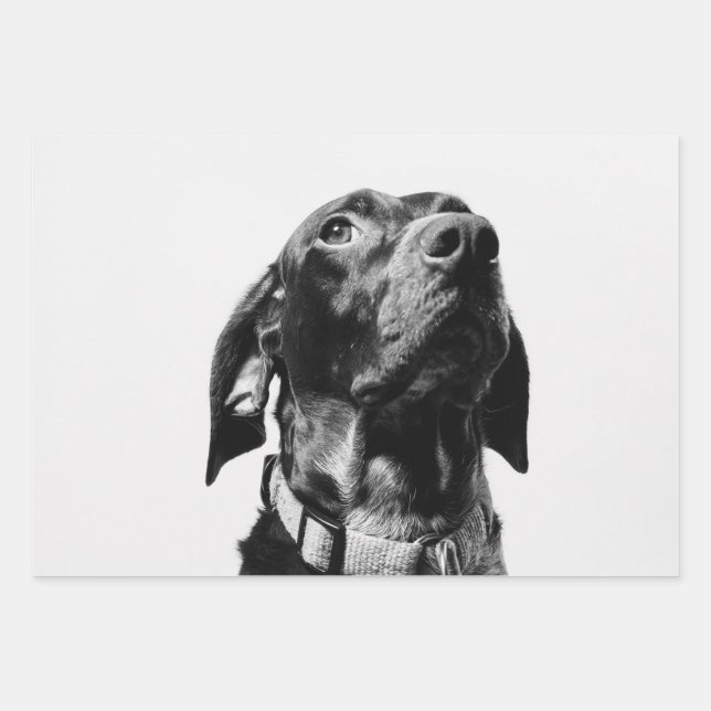 regal bw dog wrapping paper sheet (Front)