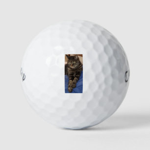 Regal Dave Callaway Warbird Golf Ball
