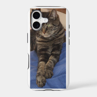 Regal Dave Cases